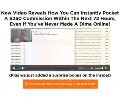 EARN $250 IN THE NEXT 72 HOURS