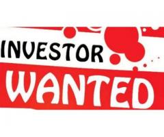 Looking for an Investor or Partner