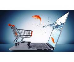 eCommerce website development cost india