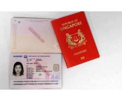 Money Exchange, Singapore Malaysian Passport, Asset Transfer