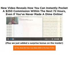 EARN $250 IN 72 HOURS DOING THIS...